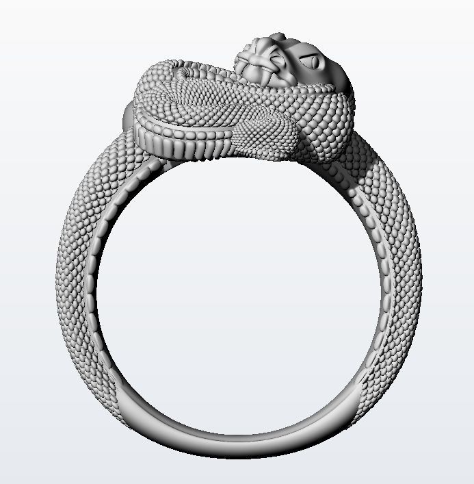 Temptation ring  3D print model_17