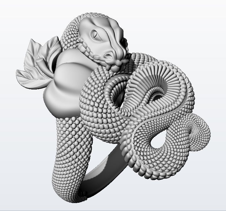 Temptation ring  3D print model_14
