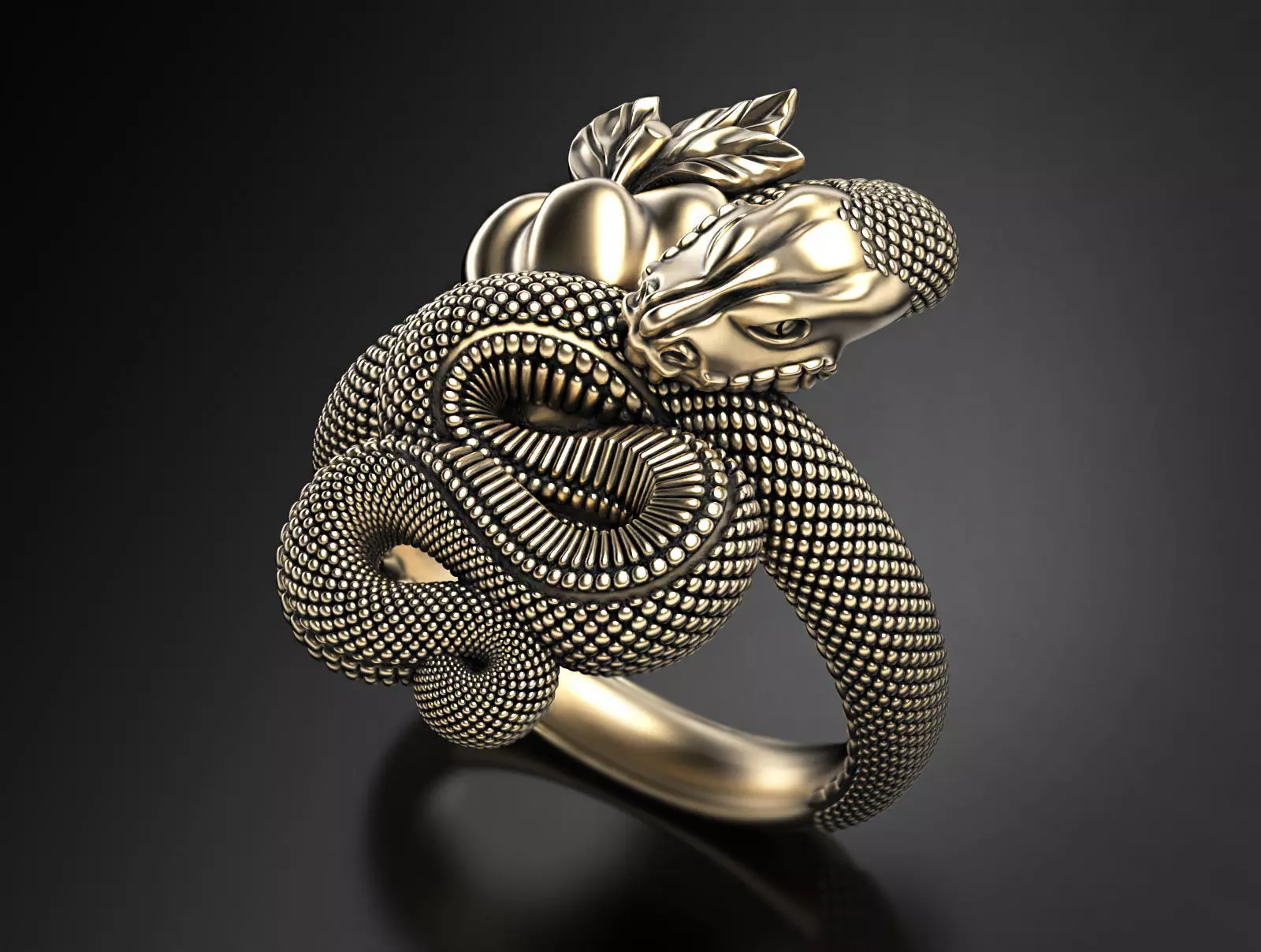 Temptation ring  3D print model_0