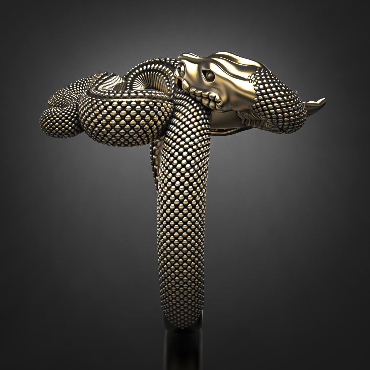 Temptation ring  3D print model_5