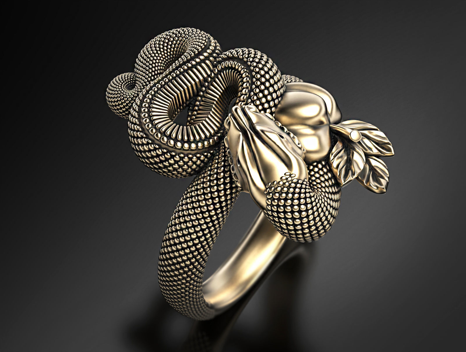 Temptation ring  3D print model_1
