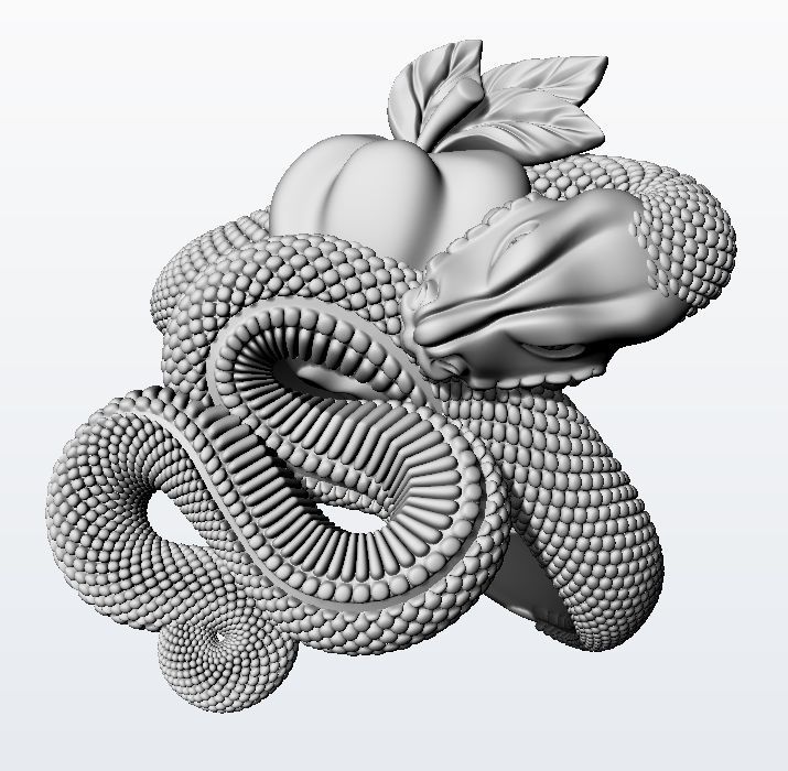 Temptation ring  3D print model_13