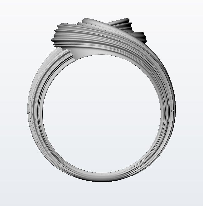 Merger ring  3D print model_13
