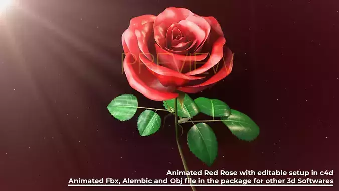 Rose Animated  3D model