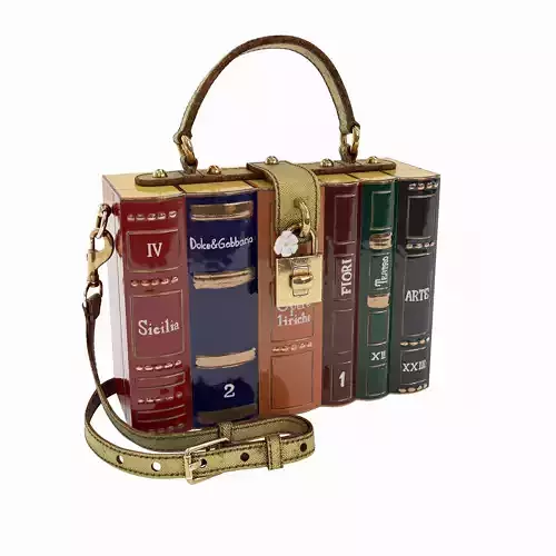 The Dolce Gabbana Encyclopaedia Box Bag 3D model