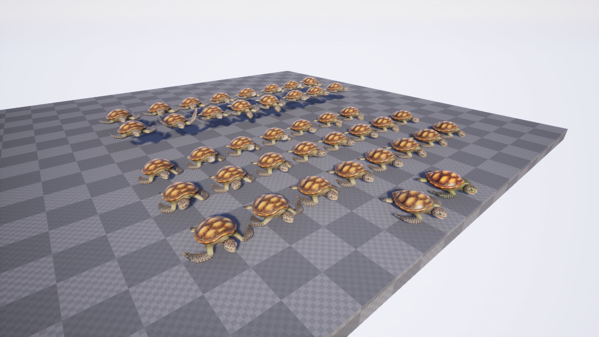 Sea turtle Low-poly 3D model_7