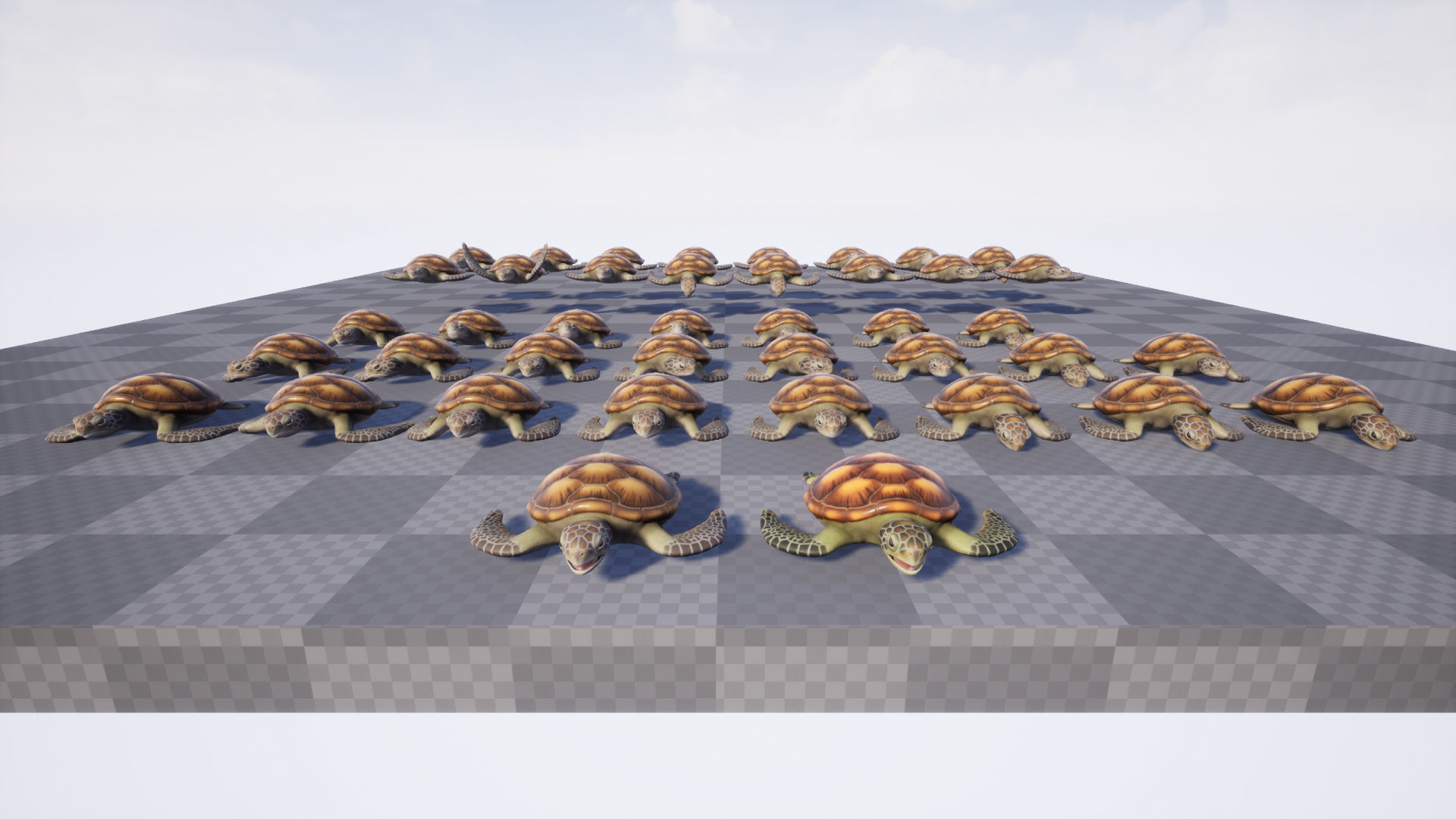 Sea turtle Low-poly 3D model_5