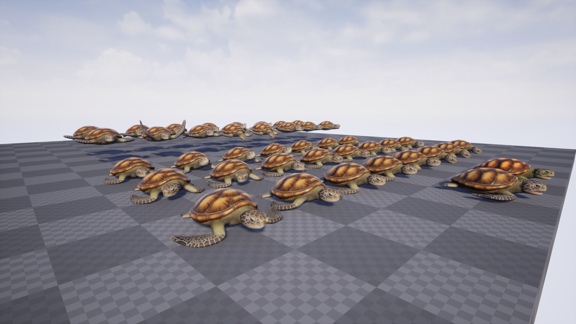 Sea turtle Low-poly 3D model_6