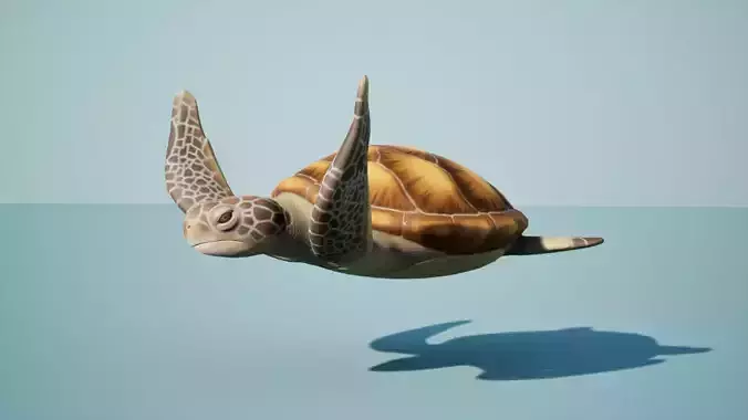 Sea turtle