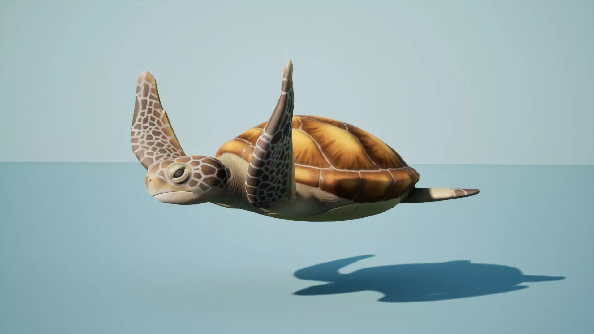 Sea turtle Low-poly 3D model_0