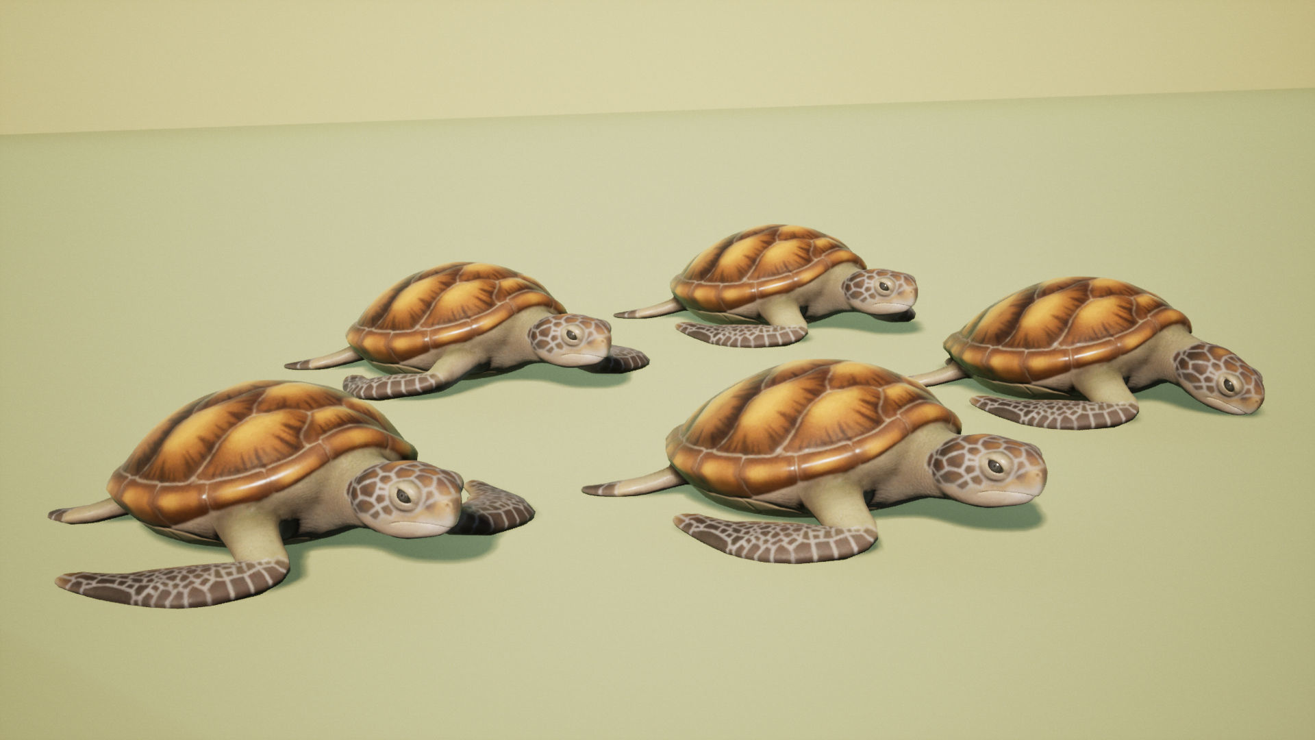 Sea turtle Low-poly 3D model_4