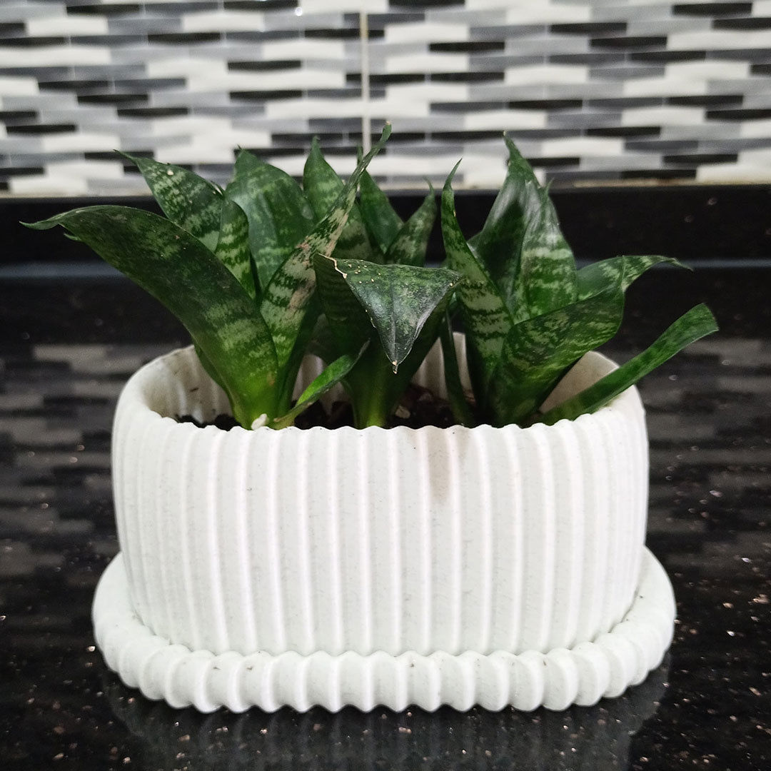 Modern flower pot collection 3D print model_3