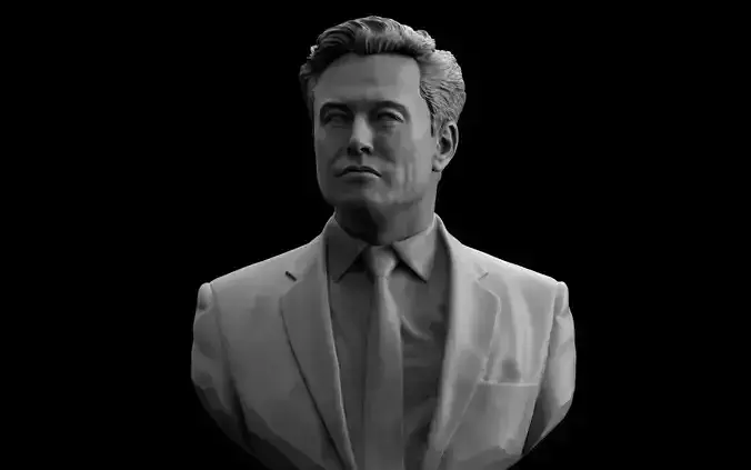 Elon Musk 3D print model