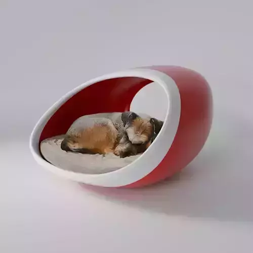 Dog Cat Bed - Blender 