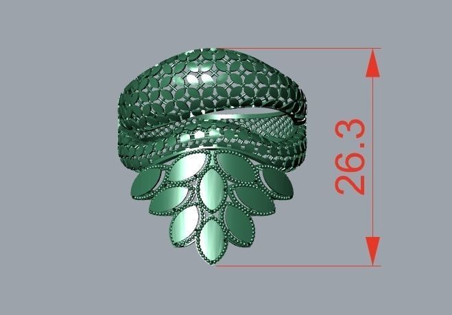 rings 3D print model_1