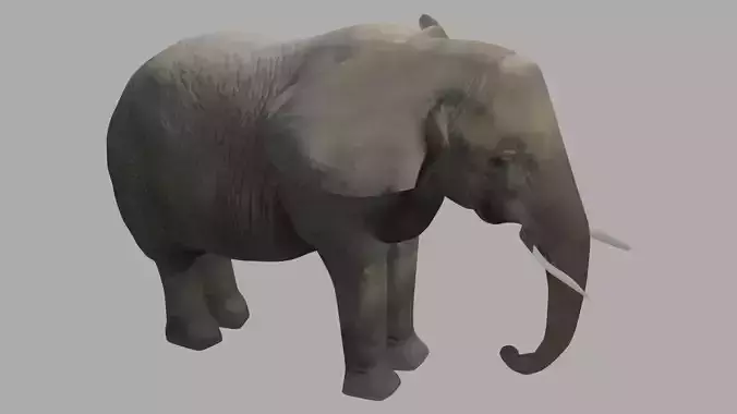 Elephant OBJ