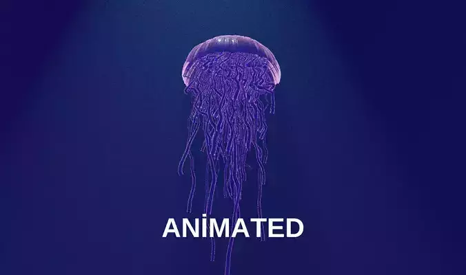 blender purple jellyfish animated 3D model