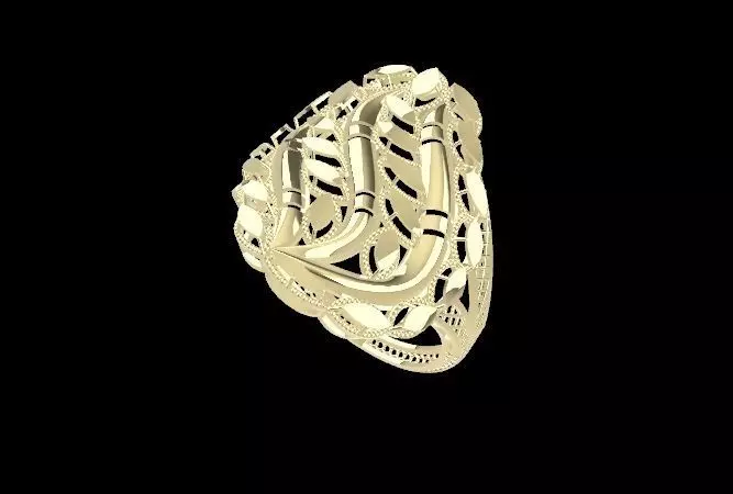 rings 3D print model_0