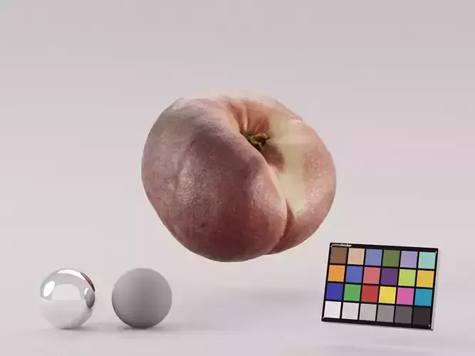 Wild Peach Photoscan