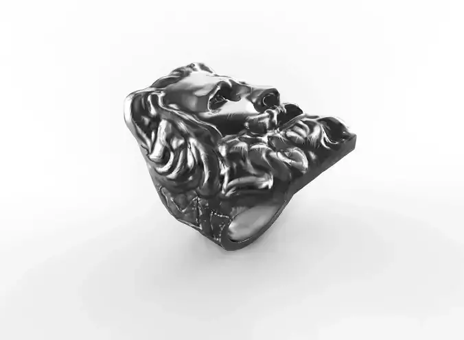 Ring Gall Head 3D print model