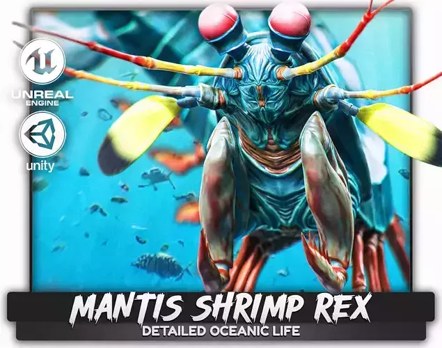 Mantis Shrimp - Rex Rainbow Peacock - Underwater Monster - 52 Low-poly 3D model