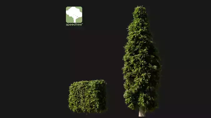 Hedge and Cypress with SpeedTree Generator