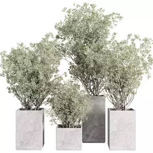 concrete box plants on stand - set outdoor plant 207