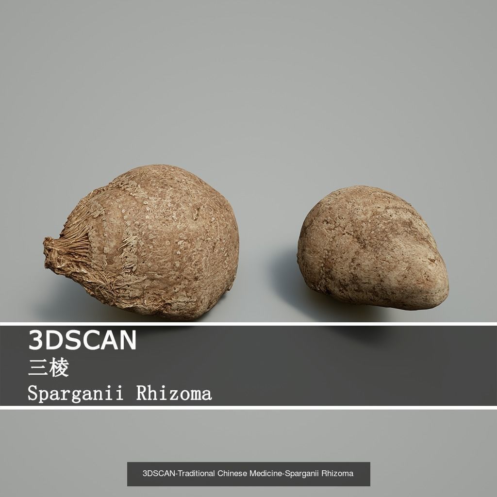 3DSCAN-Traditional Chinese Medicine 3D Model Collection 02 _14