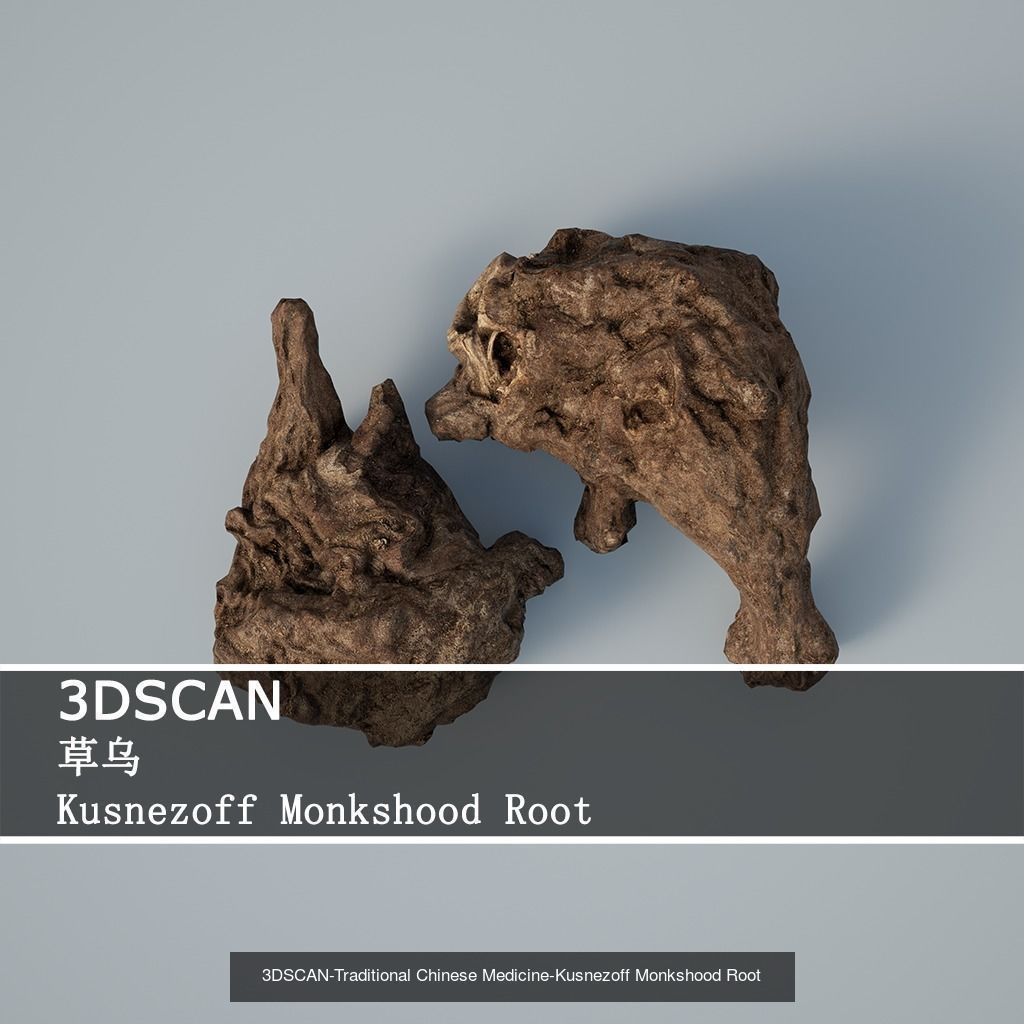 3DSCAN-Traditional Chinese Medicine 3D Model Collection 02 _3