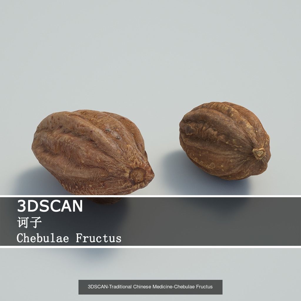 3DSCAN-Traditional Chinese Medicine 3D Model Collection 02 _4