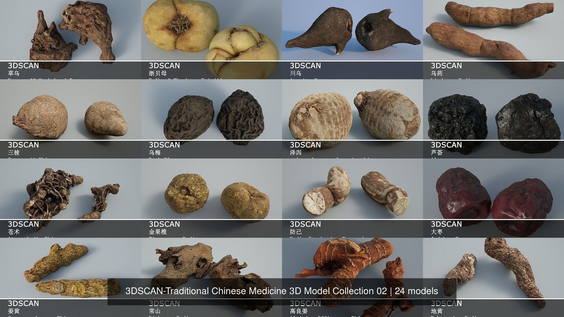 3DSCAN-Traditional Chinese Medicine 3D Model Collection 02 _1