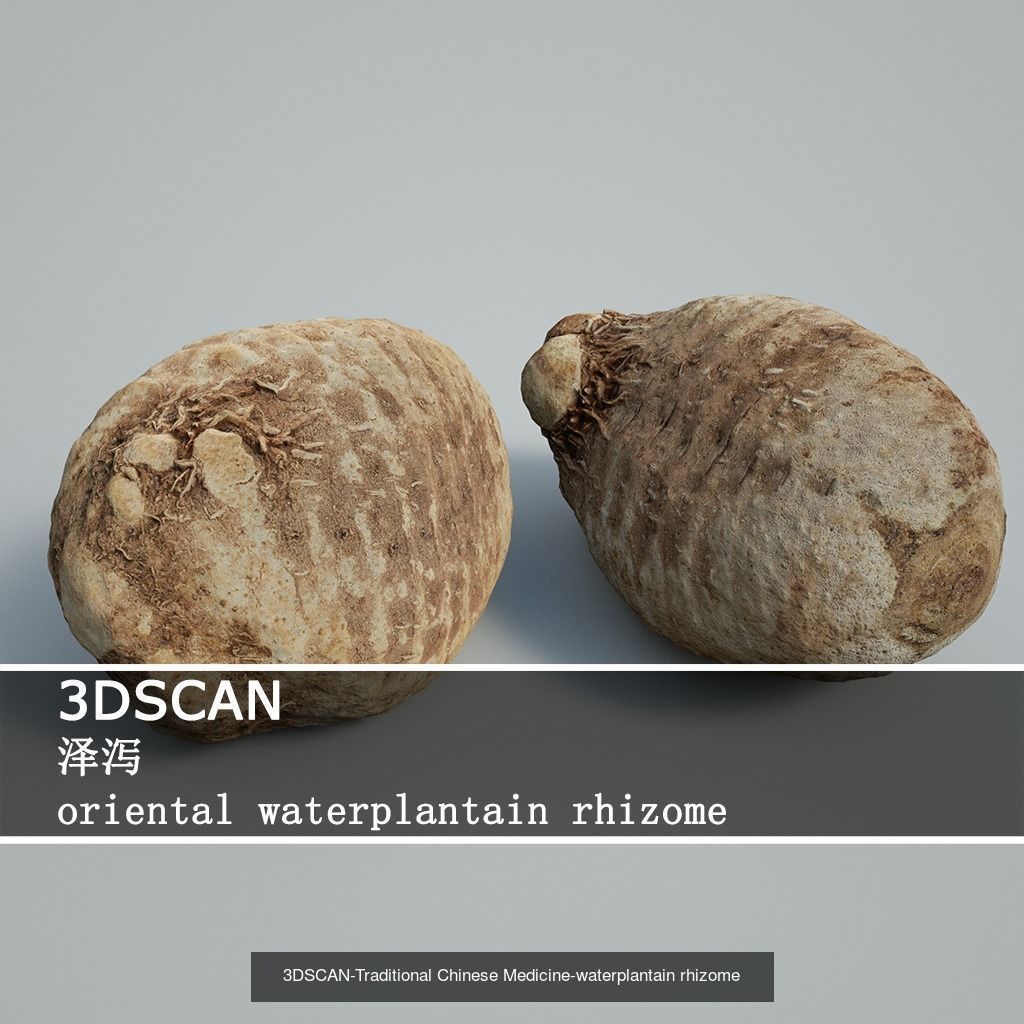 3DSCAN-Traditional Chinese Medicine 3D Model Collection 02 _16