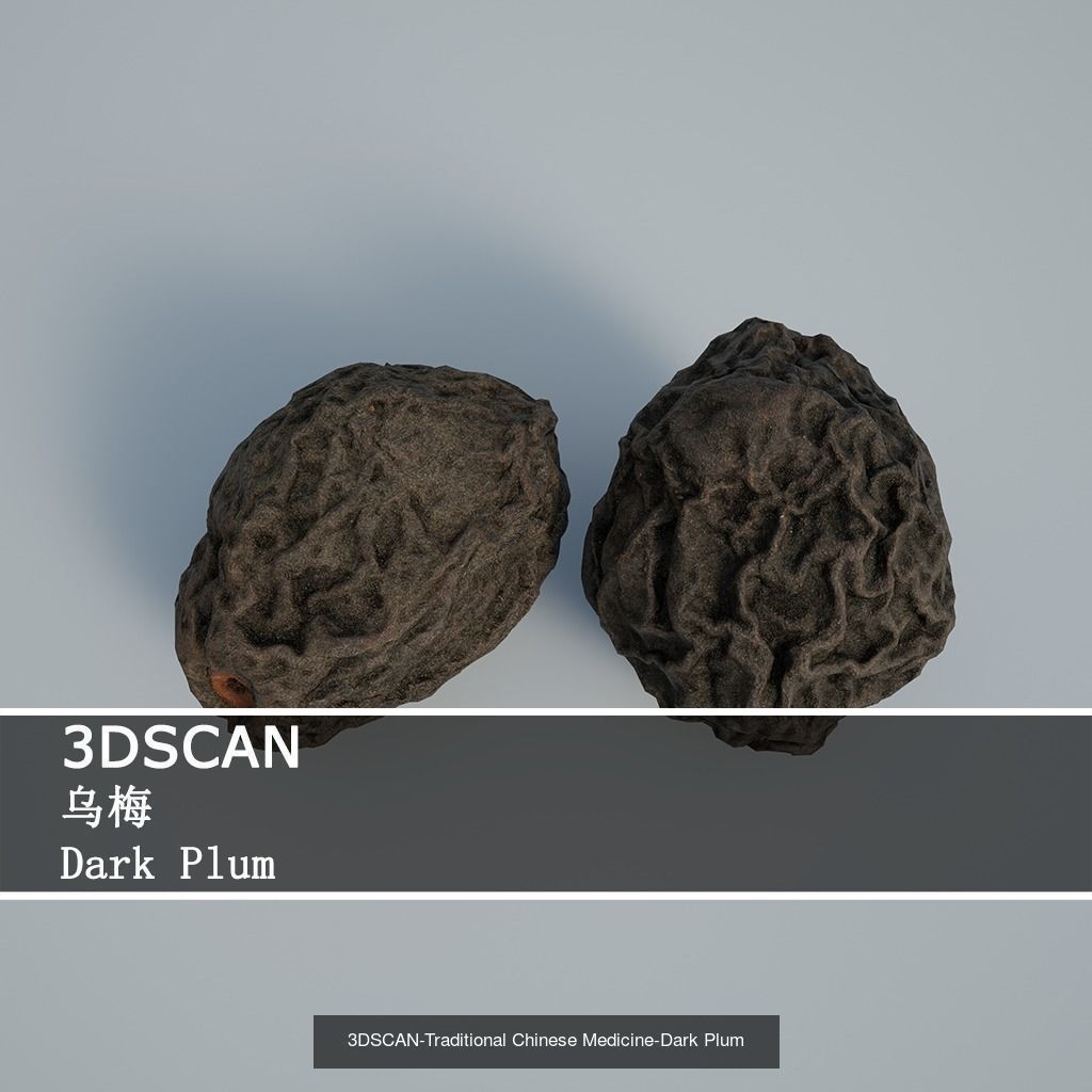 3DSCAN-Traditional Chinese Medicine 3D Model Collection 02 _15