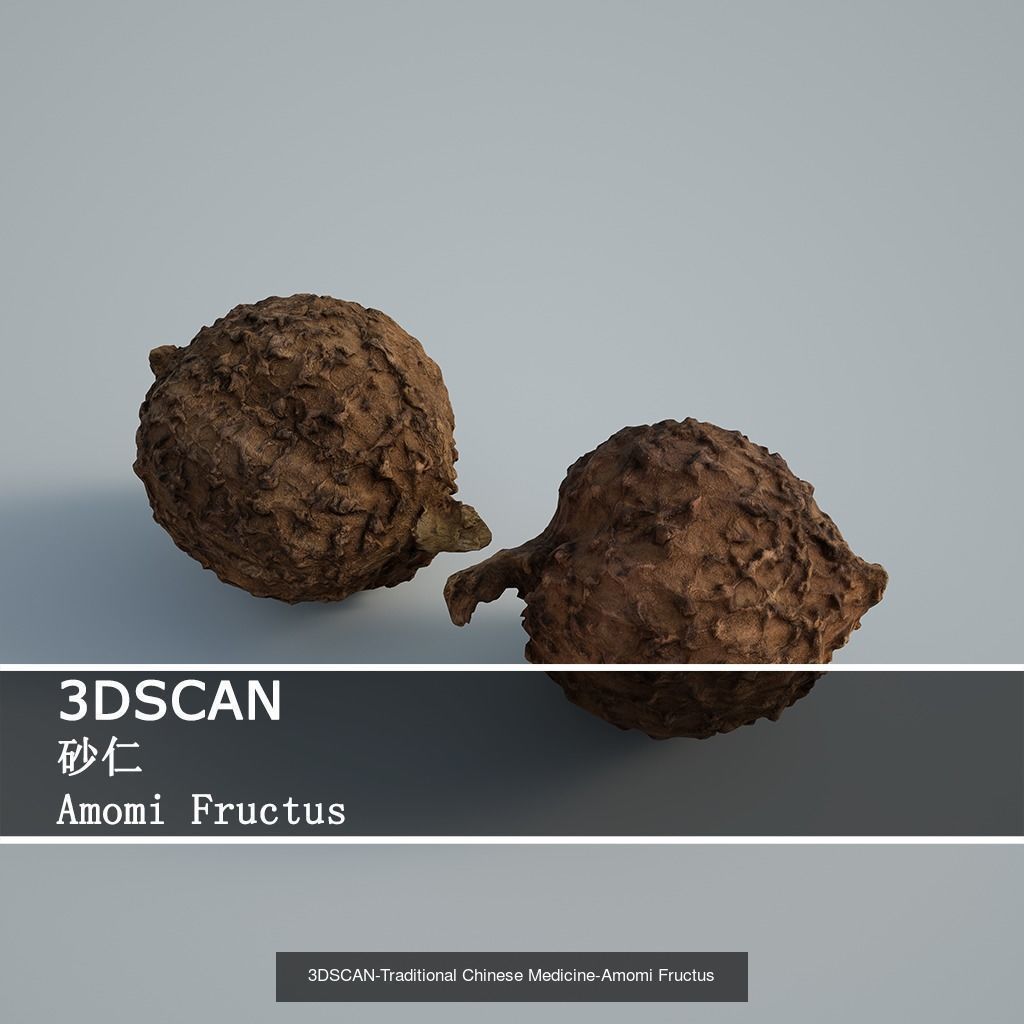 3DSCAN-Traditional Chinese Medicine 3D Model Collection 02 _7