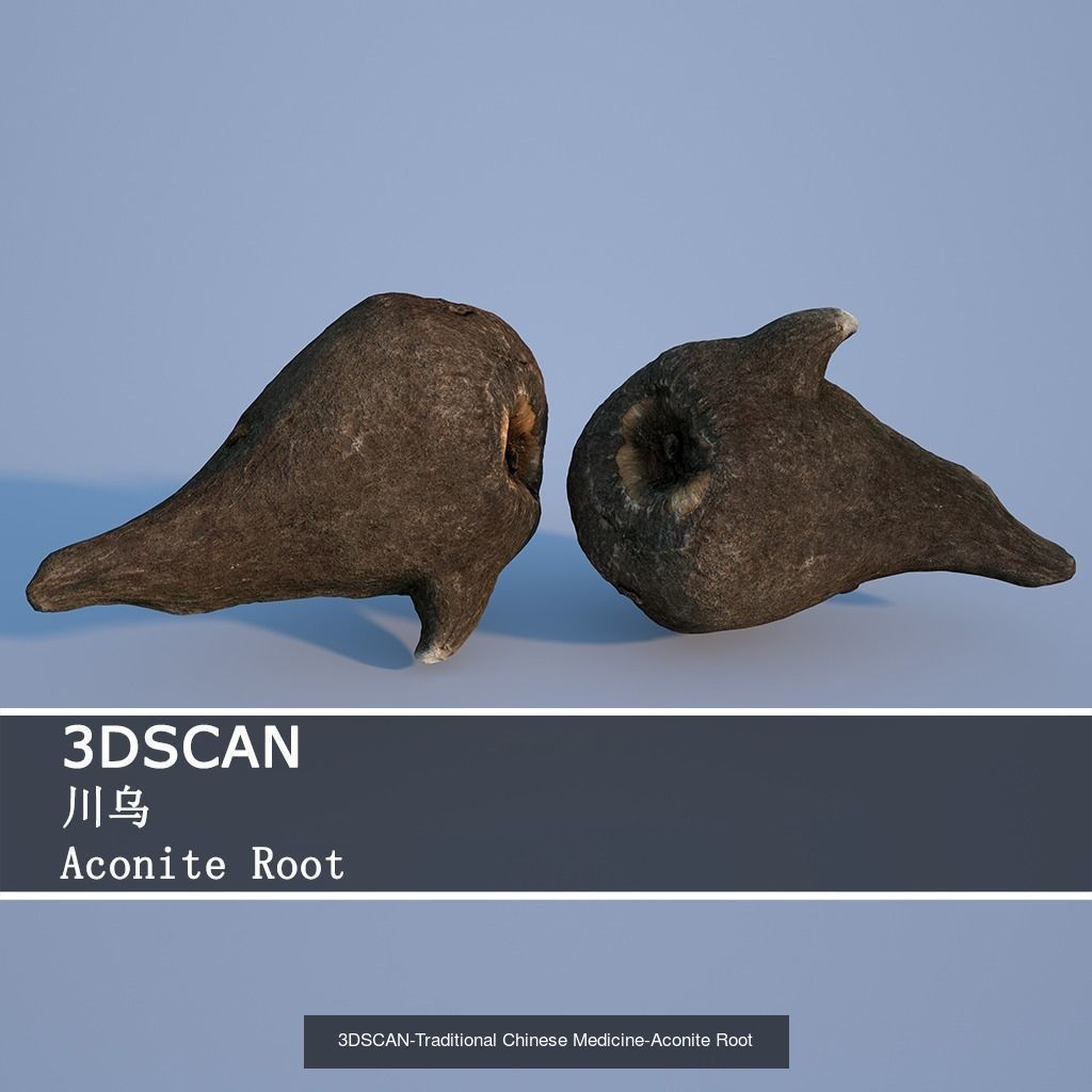3DSCAN-Traditional Chinese Medicine 3D Model Collection 02 _10