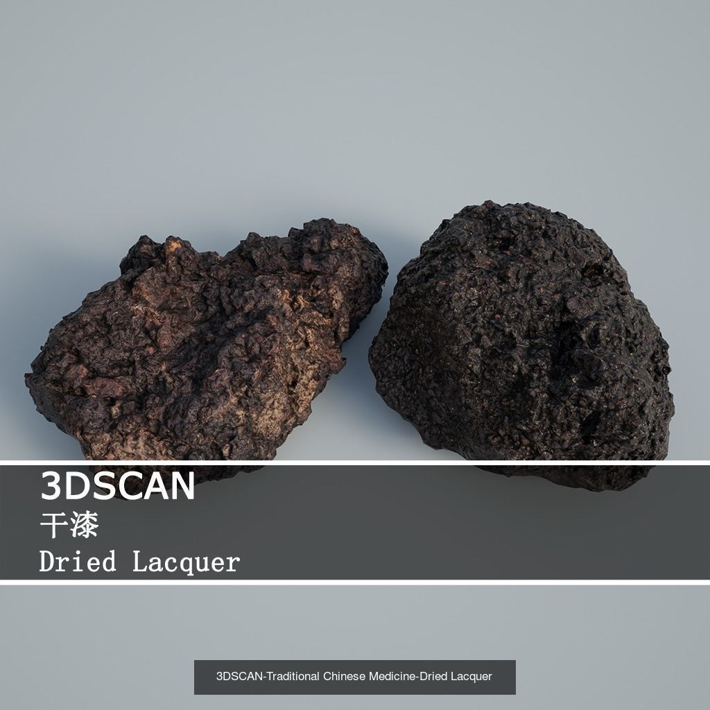 3DSCAN-Traditional Chinese Medicine 3D Model Collection 02 _13