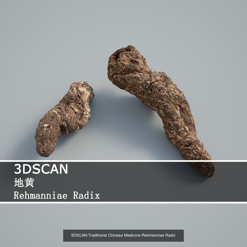 3DSCAN-Traditional Chinese Medicine 3D Model Collection 02 _25