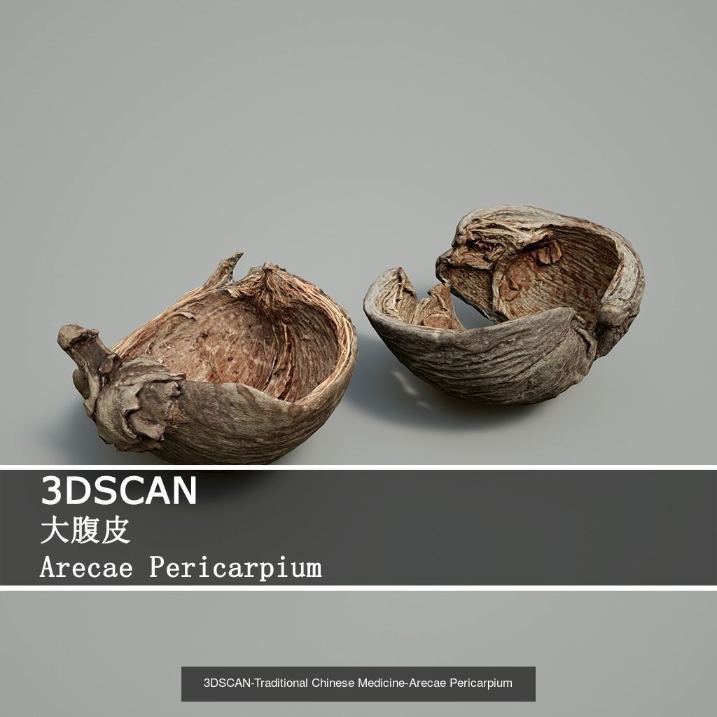 3DSCAN-Traditional Chinese Medicine 3D Model Collection 02 _11