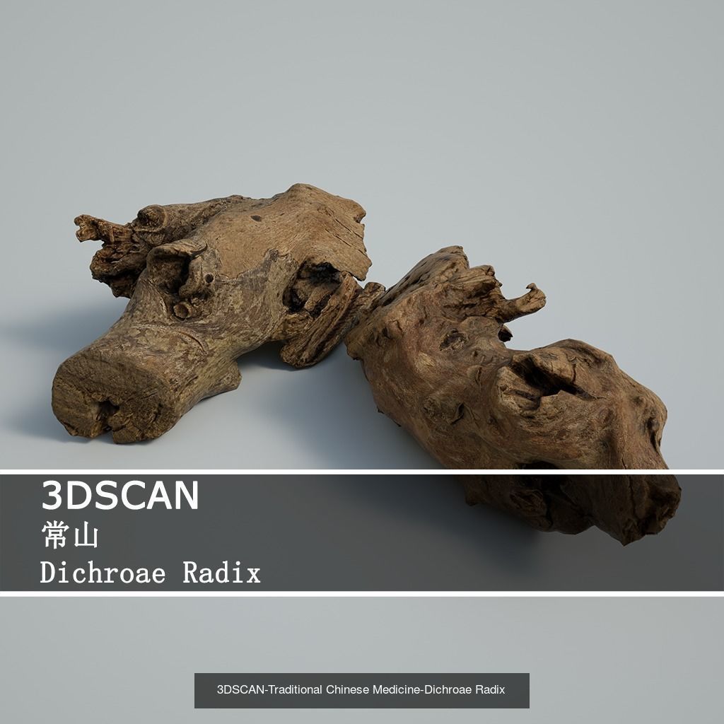 3DSCAN-Traditional Chinese Medicine 3D Model Collection 02 _23