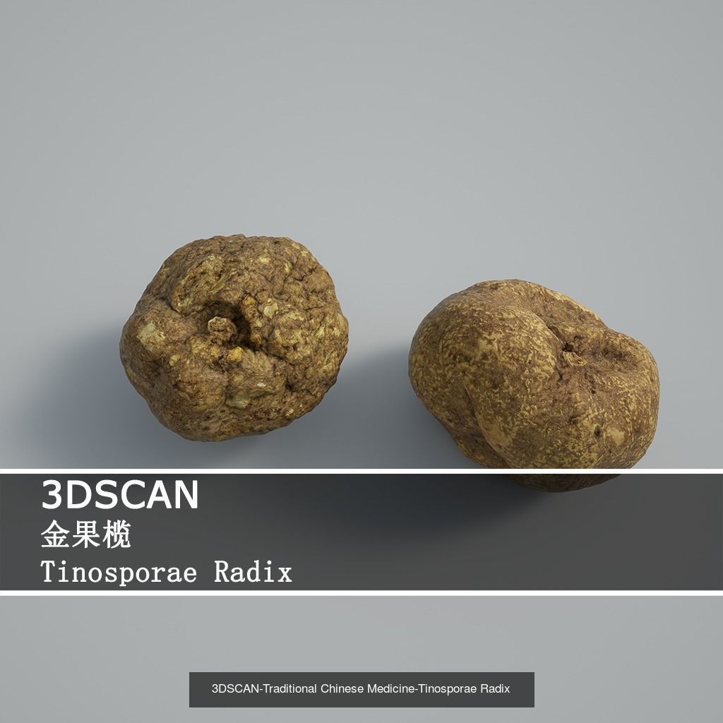 3DSCAN-Traditional Chinese Medicine 3D Model Collection 02 _19