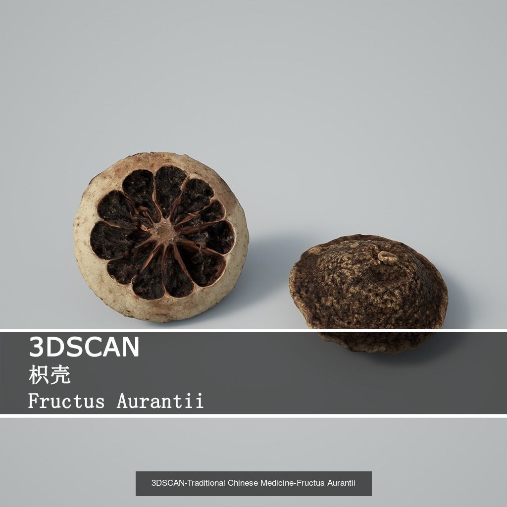 3DSCAN-Traditional Chinese Medicine 3D Model Collection 02 _9
