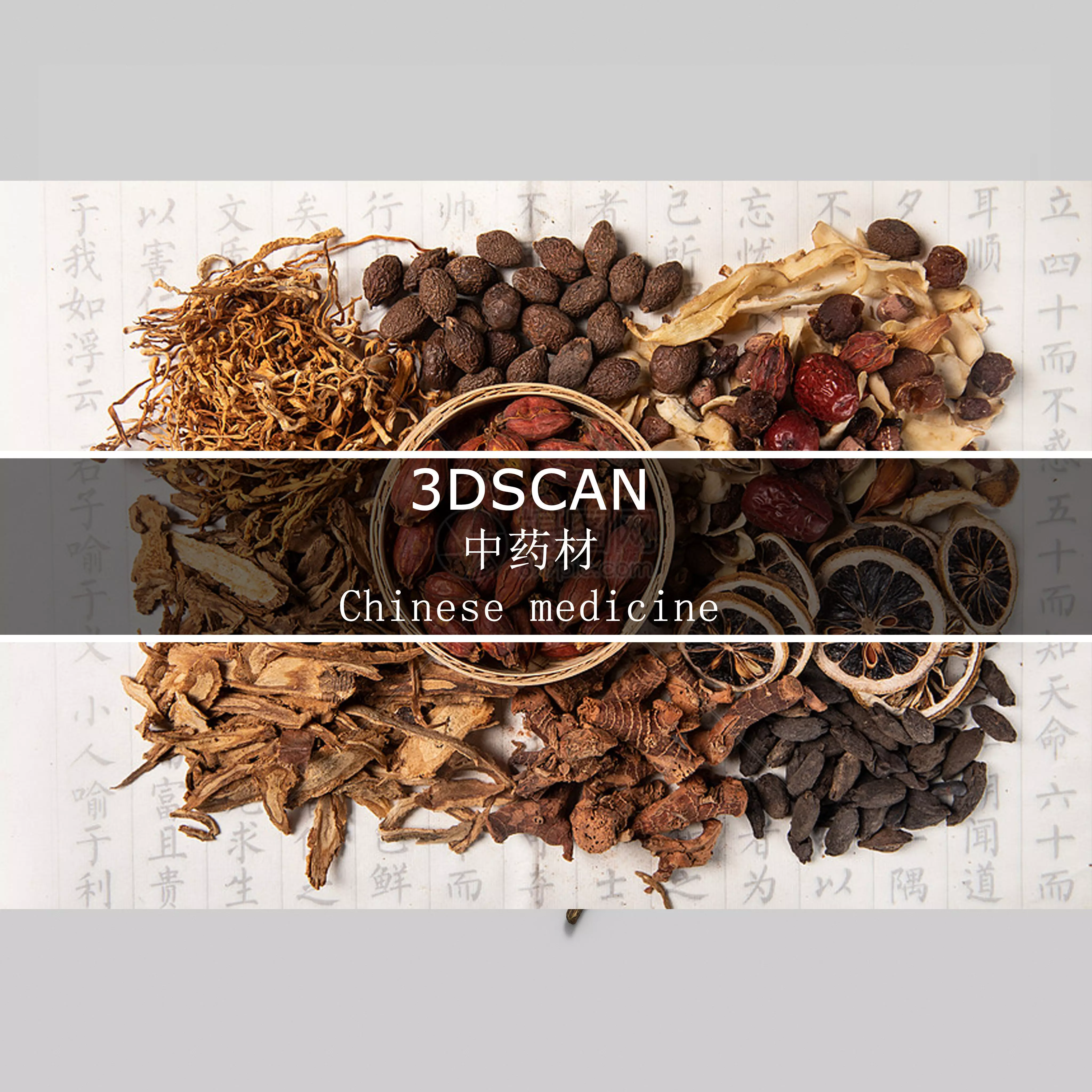 3DSCAN-Traditional Chinese Medicine 3D Model Collection 02 _0