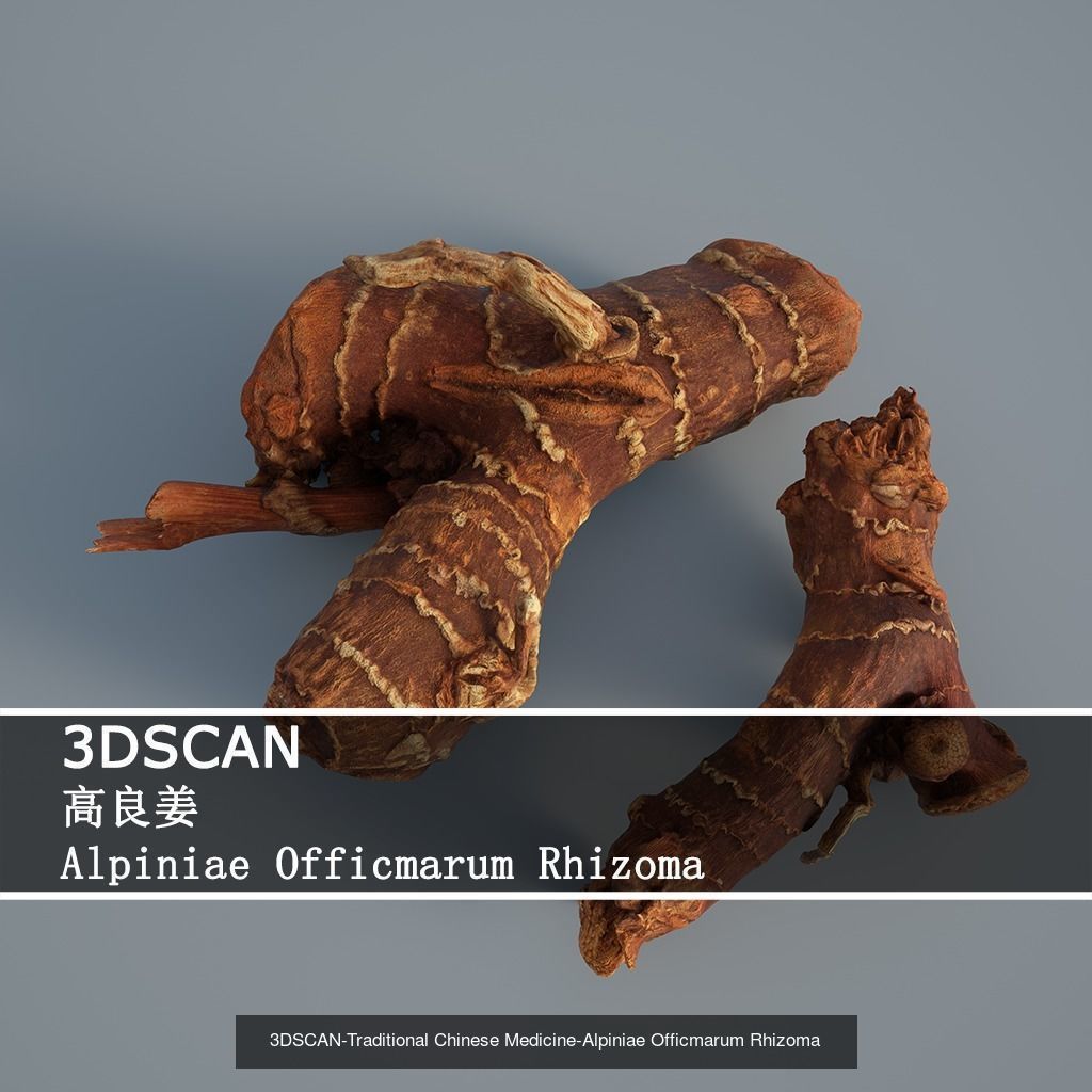 3DSCAN-Traditional Chinese Medicine 3D Model Collection 02 _24