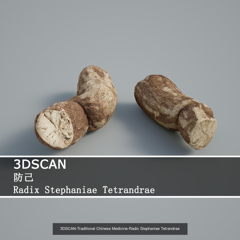 3DSCAN-Traditional Chinese Medicine 3D Model Collection 02 _20