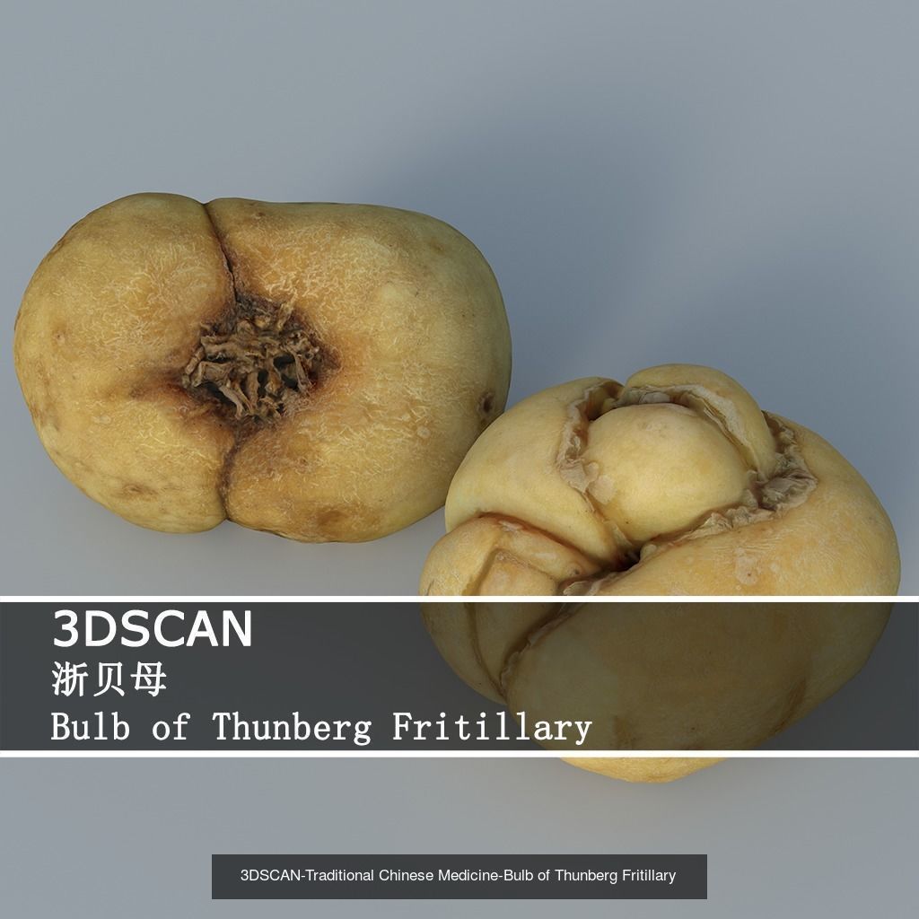 3DSCAN-Traditional Chinese Medicine 3D Model Collection 02 _8