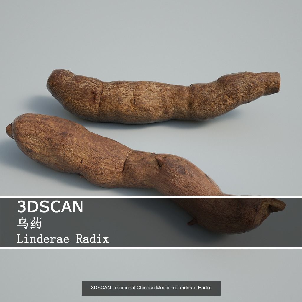 3DSCAN-Traditional Chinese Medicine 3D Model Collection 02 _12