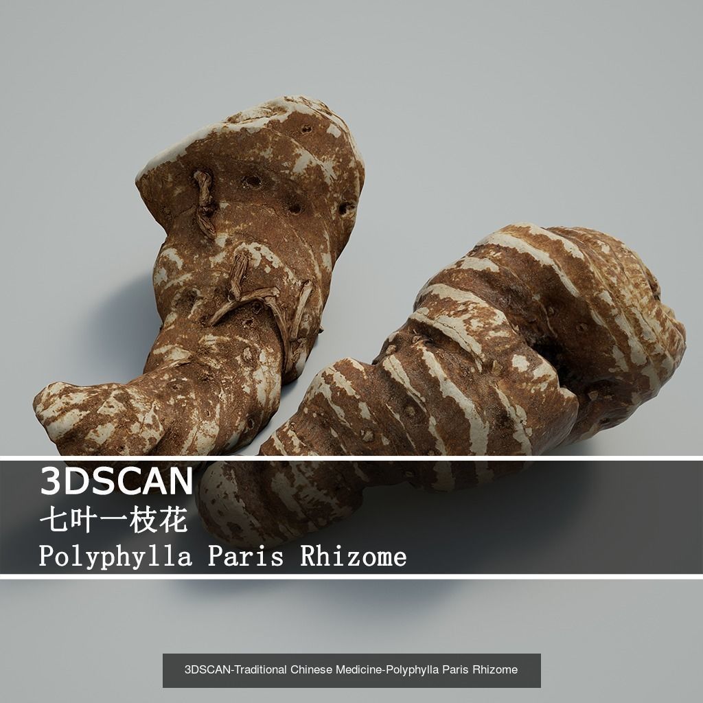 3DSCAN-Traditional Chinese Medicine 3D Model Collection 02 _6