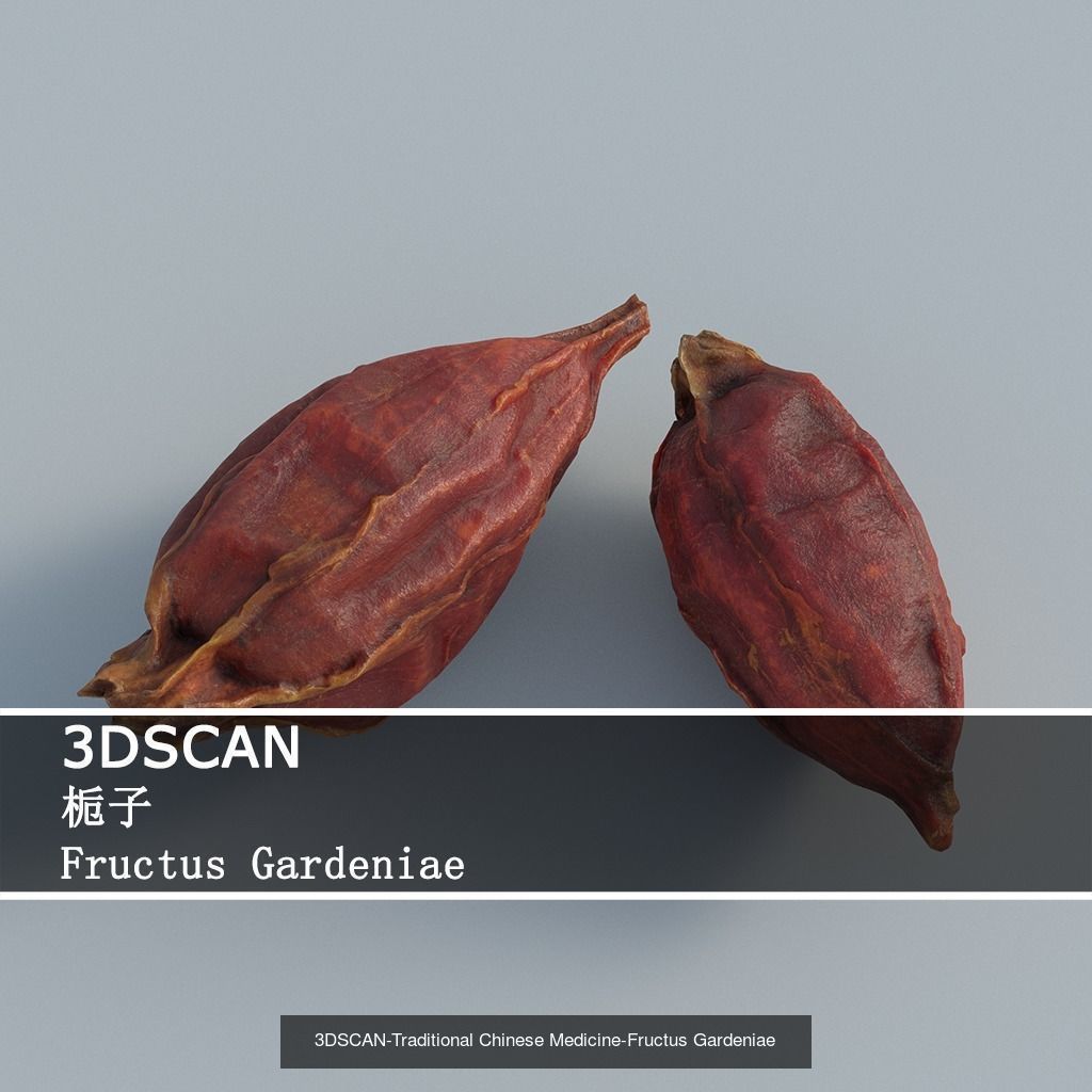 3DSCAN-Traditional Chinese Medicine 3D Model Collection 02 _2