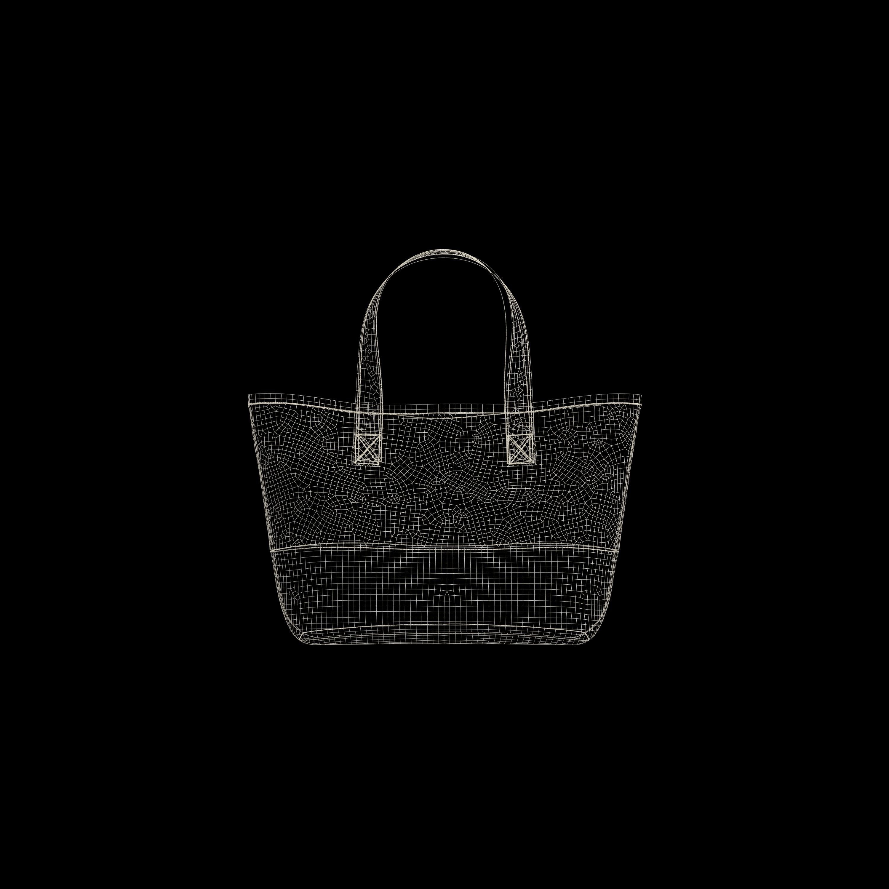 Tote Bag 3D model_3