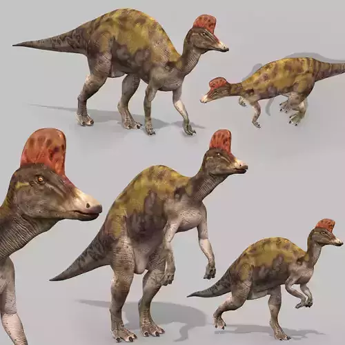 Real Animated Corythosaurus HD 3D model
